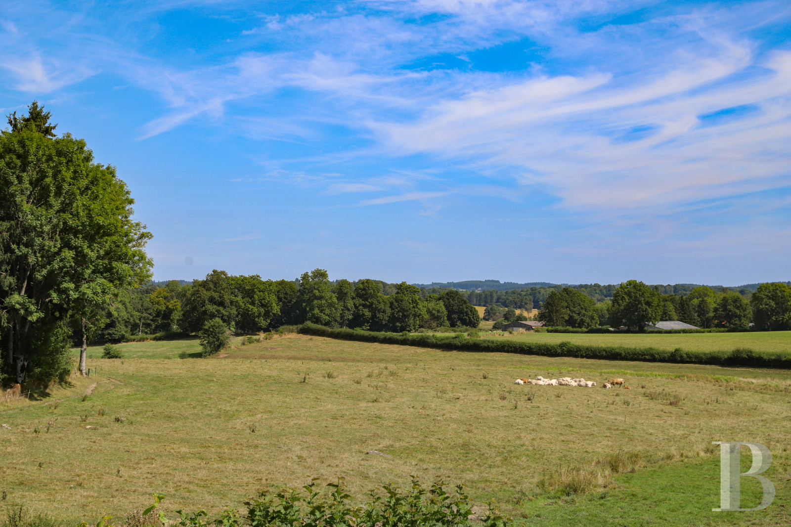A carefully renovated 19th-century family home in the Plateau de Millevaches nature reserve in Flayat  - photo  n°3